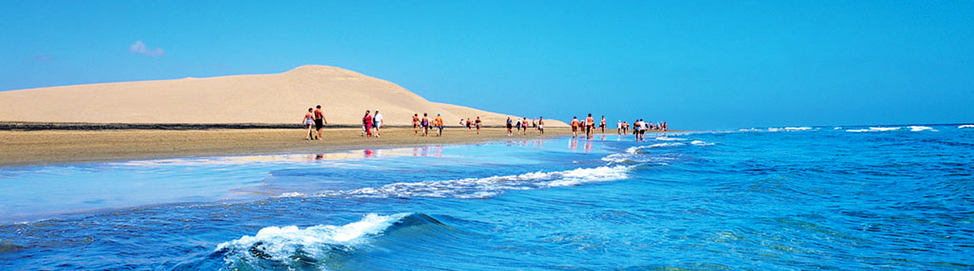 Last Minnute Canarie