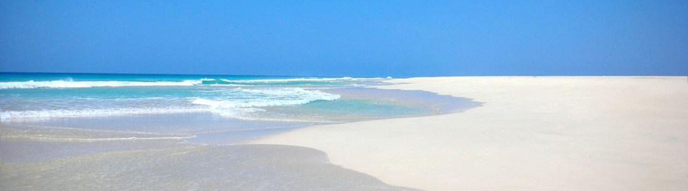 Viaggi e vacanze Isola di Sal