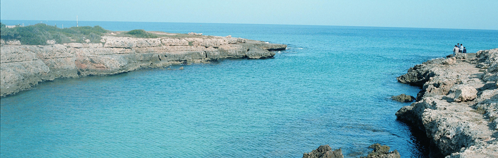 Viaggi e vacanze Peschici