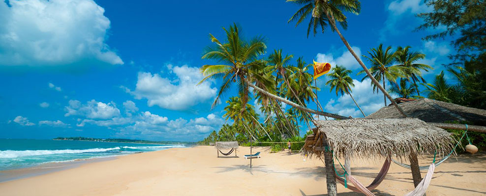 Viaggi e vacanze Tour Sri Lanka